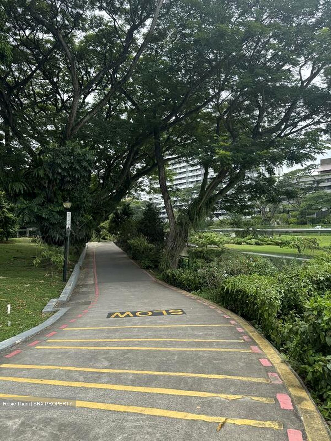 Blk 113 Potong Pasir Avenue 1 (Toa Payoh), HDB 4 Rooms #497347611